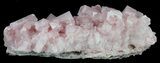 Pink Halite Crystal Plate - Trona, California #61062-2